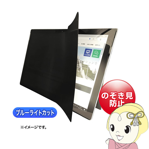 2WAY覗き見防止フィルム サンワサプライ iPad 10.2インチ 全面 対応 LCD-ZE2LN102IPAD/srm｜gioncard