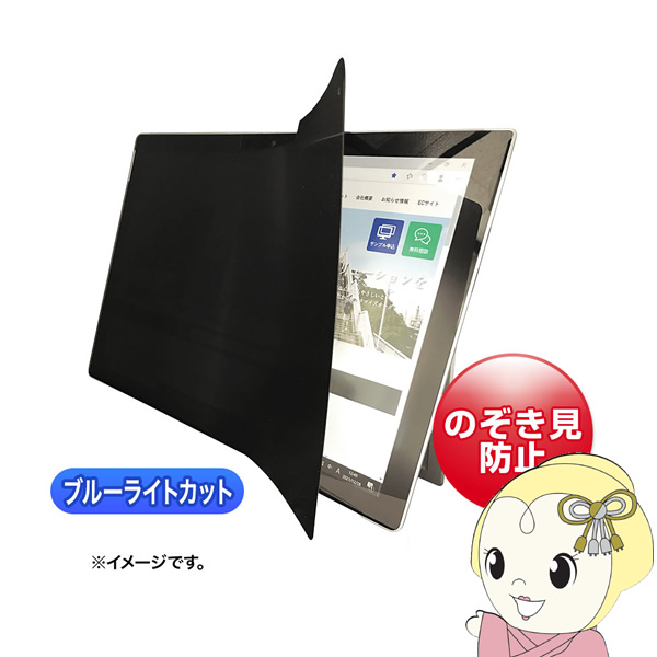 2WAY覗き見防止フィルム サンワサプライ iPad 10.9インチ対応 LCD-ZE2LN109IPAD/srm｜gioncard