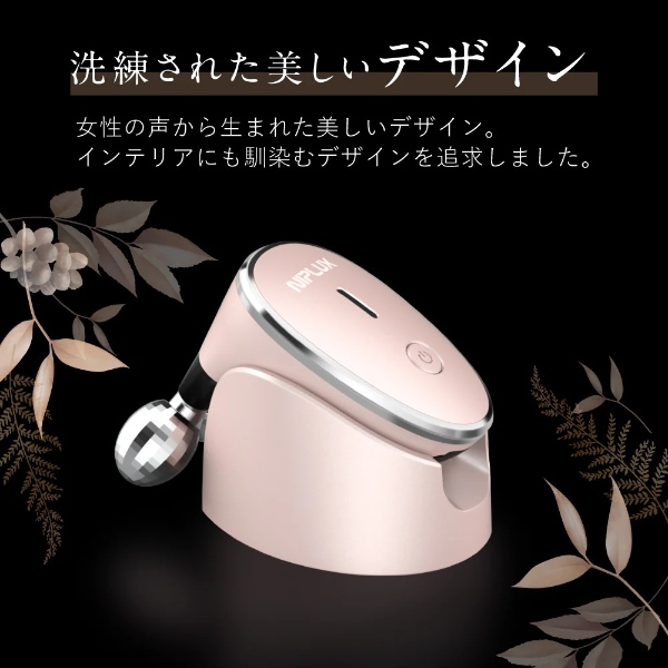 [予約]EMS美顔ローラー NIPLUX BEAUTY QRELLE 美顔器 毛穴ケア 美容ローラー フェイスローラー 目元 フェイスケア コロコロ 振動機能 NP-QL21PK/srmの画像