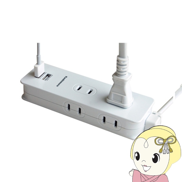 �J�V���� WM-6 NWM-6 �����E�C�O���p�d���^�b�v A�^�C�v AC4P USB2P 3A �z���C�g  1.2m USB�t���d���^�b�v