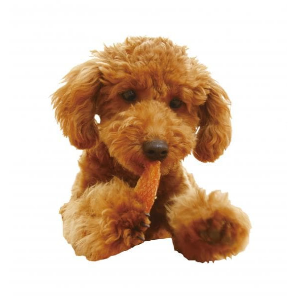 犬用おやつ ジャーキー アイリスオーヤマ まるごとささみジャーキーセミハード 1kg×5袋セット P-IJ-SH1K/srmの画像