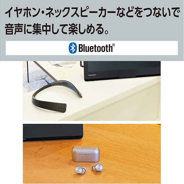 Panasonic ポータブルテレビ（付属品：ミニBーCASカード）｜テレビ