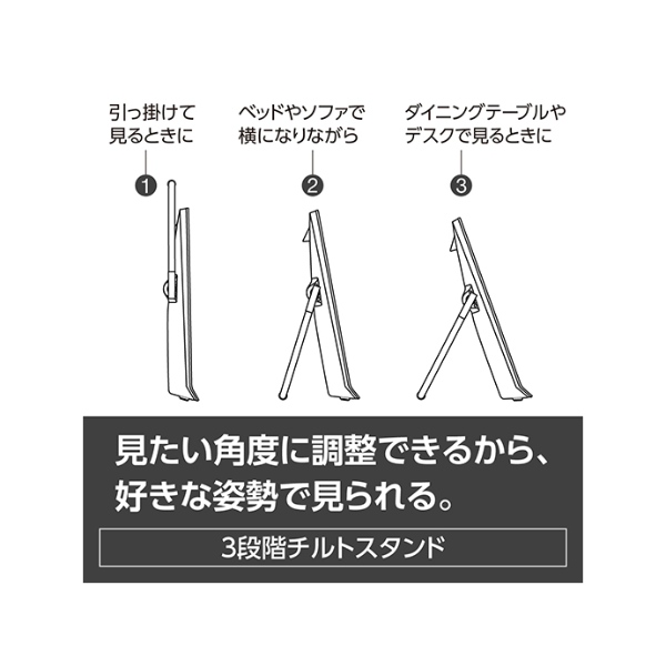 プライベート・ビエラ ポータブルテレビ パナソニック 液晶