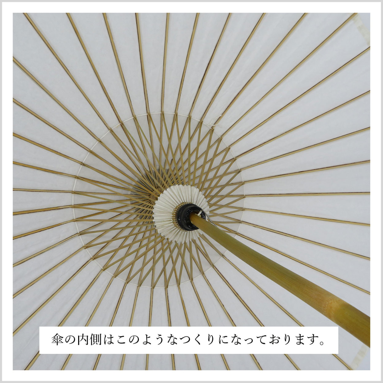 和傘 番傘 日本舞踊 踊り 着物 撮影 コスプレ 安い 「紙傘 和傘 番傘 白」 日本舞踊