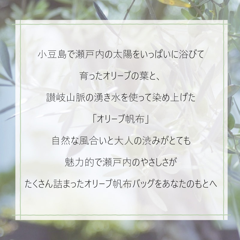シテンのオリーブ 定番の商品一覧｜ユナイテッドアローズ公式