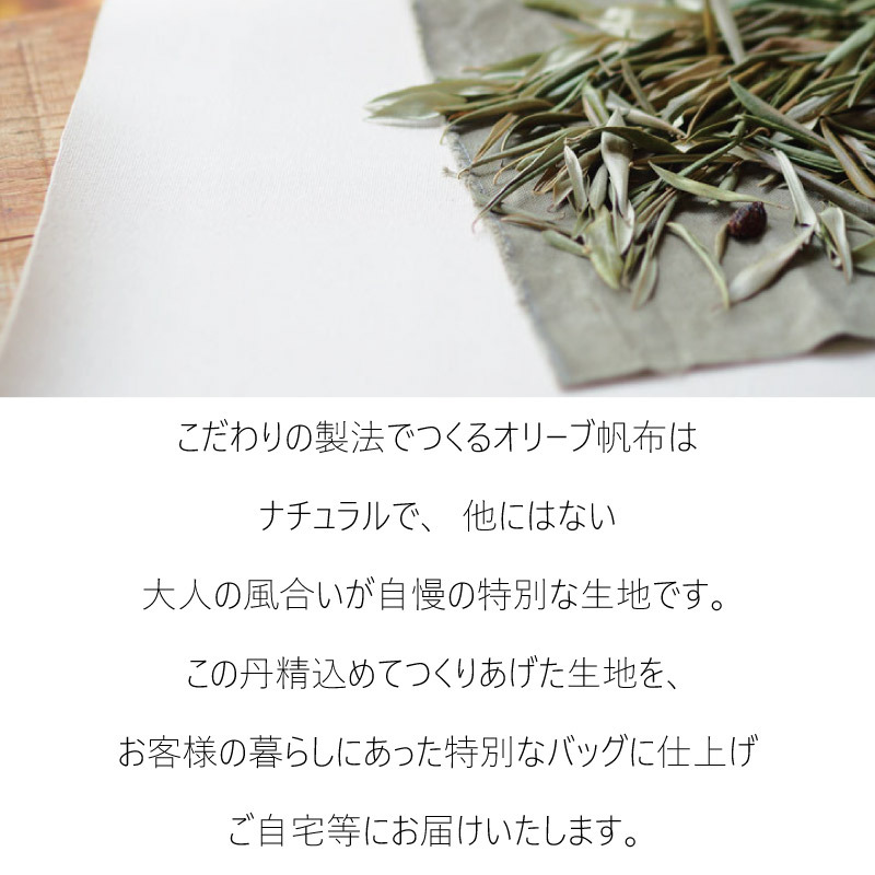 レディース バッグ ミニボストンバッグ オリーブ 帆布 Cargo
