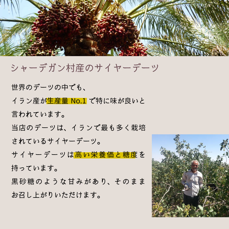 デーツ 700g イラン産 種なし ドライフルーツ おやつ 無農薬 無添加 無塩 無植物油 高品質 送料無料 美容食