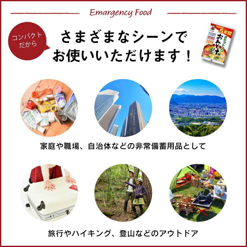5年 保存防災食 神州一味噌 ポケットワン おみそ汁 食器不要 スプーン付き 15袋セット