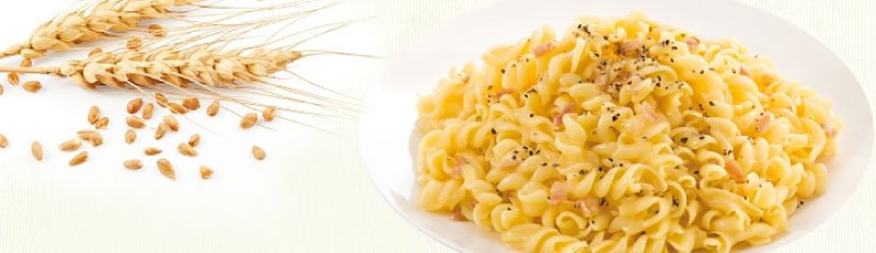 5年保存 非常食 サタケ マジックパスタ 4種