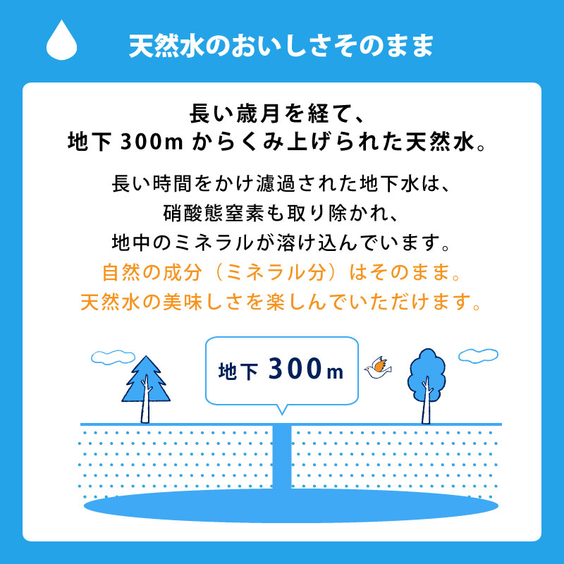 7年保存保存水杉田エースイザメシ非常用飲料水7年保存水500ml1本