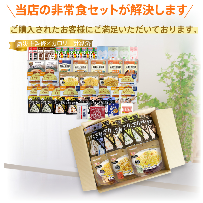 非常食セット 7日分 非常食 防災食 保存食 5年保存 アルファ米 尾西