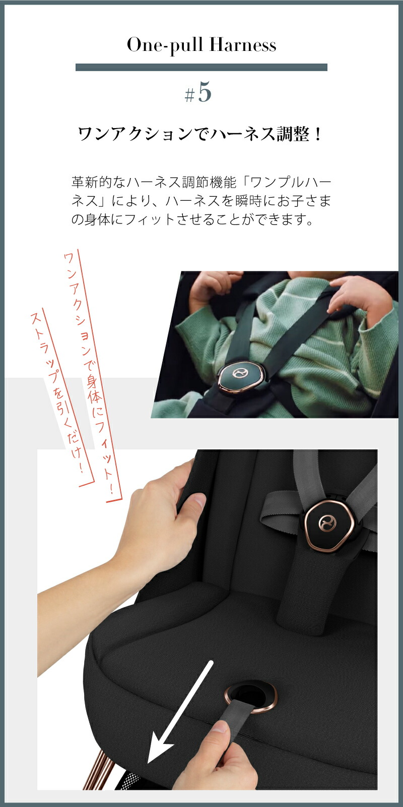 cybexサイベックス （コヤ）