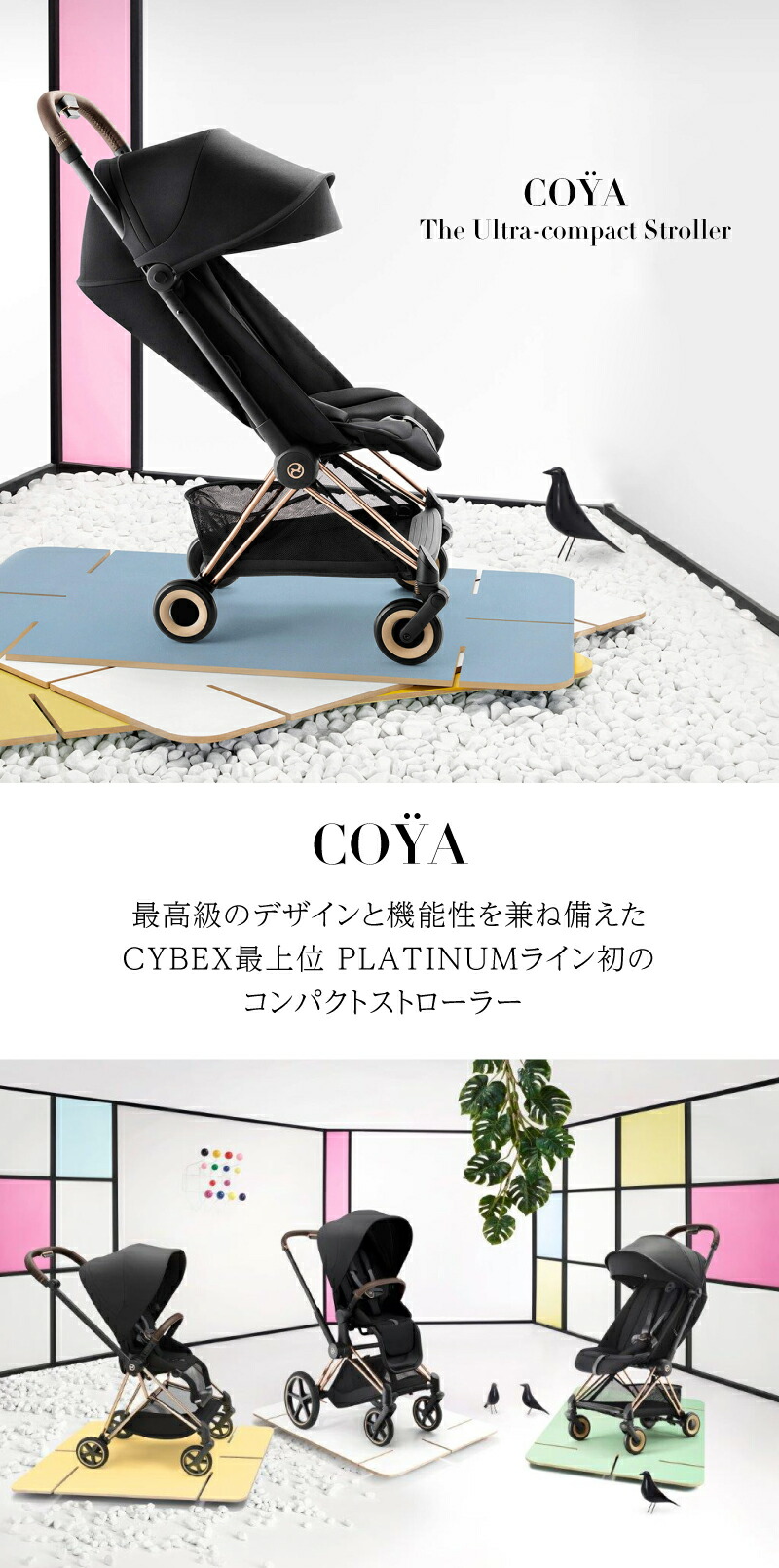 cybexサイベックス （コヤ）