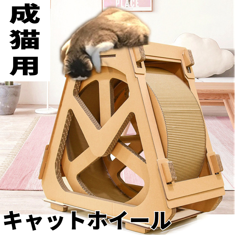 無料長期保証 キャッツ エクササイズホイール Lサイズ 成猫用 ダンボール ダイエット キャットウィール ランニングマシン 送料無料 流行に Kuljic Com