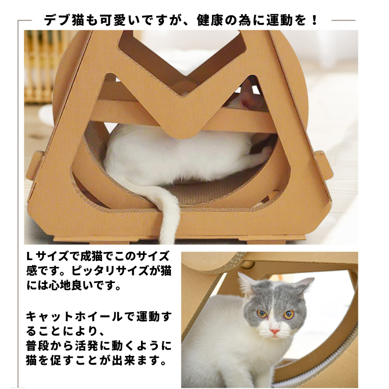 無料長期保証 キャッツ エクササイズホイール Lサイズ 成猫用 ダンボール ダイエット キャットウィール ランニングマシン 送料無料 流行に Kuljic Com