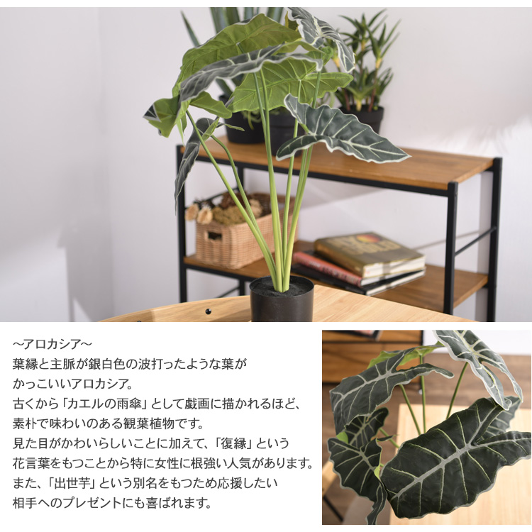 【フェイクグリーン】Brown. ブラウン アロカシア プランターカバー付き 観葉植物 フェイクグリーン ボタニカル 造花 おしゃれ ポット Brown