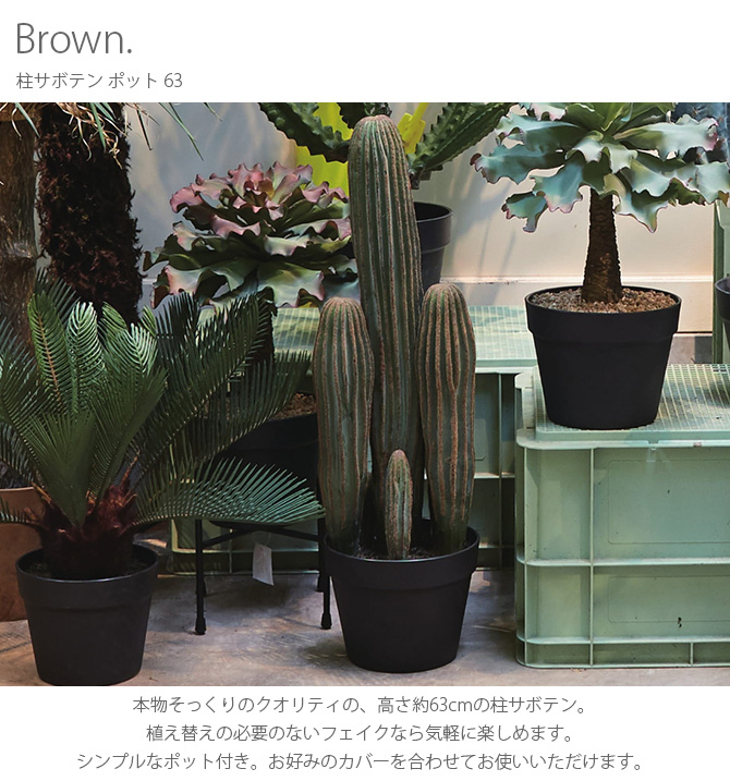 柱サボテン フェイクグリーン おしゃれ ポット 人工観葉植物 Brown. ブラウン 柱サボテン ポット 63