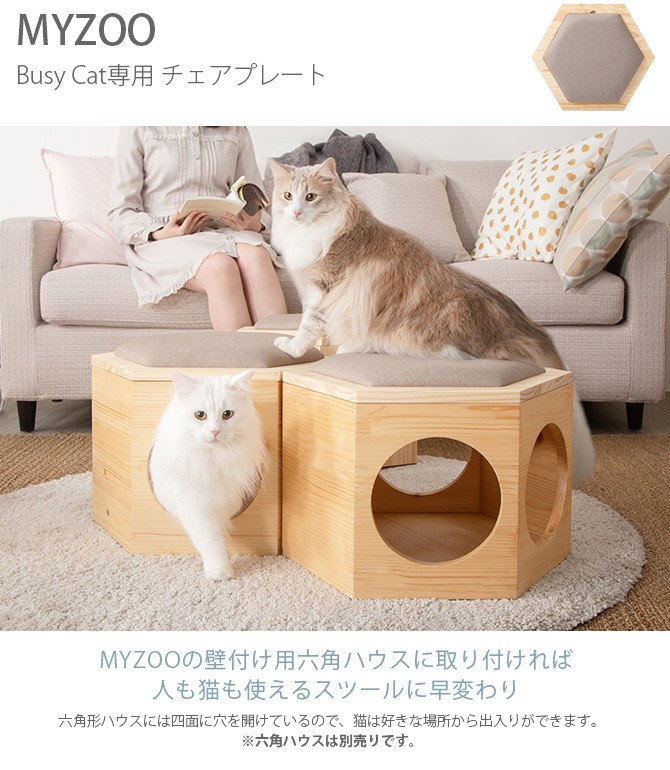 猫 ハウス スツール 六角 木製 キャットステップ MYZOO マイズー Busy