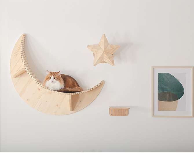 猫 キャットステップ キャットウォーク 壁付け 壁掛け MYZOO マイズー