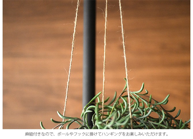 フェイクグリーン 、ハンギングポット、まとめ売り。総額6万円相当 フェイクグリーン 、ハンギングポット、まとめ売り。総額6万円相当