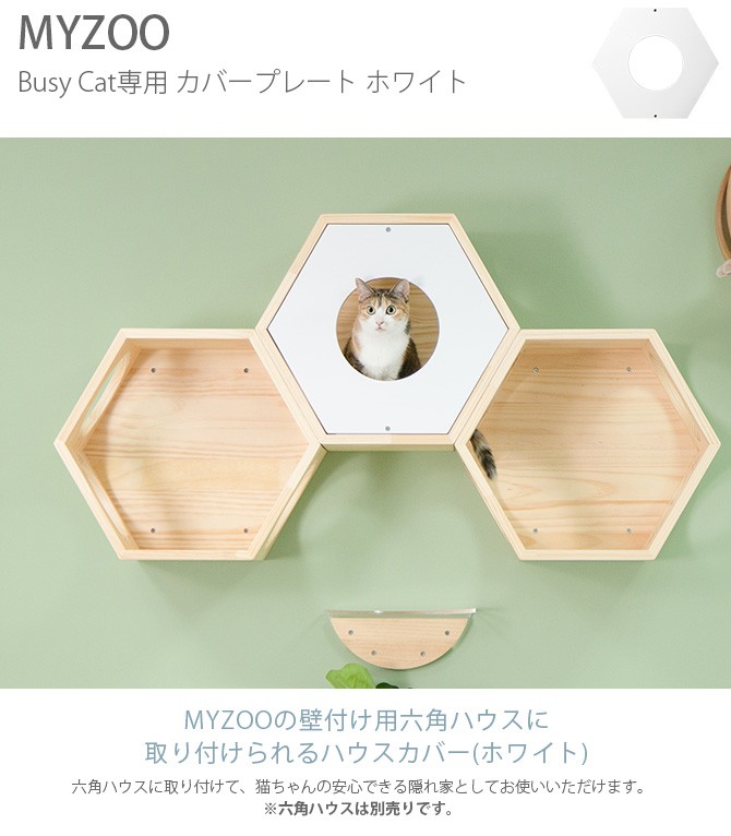 猫 ハウス スツール 六角 木製 キャットステップ MYZOO マイズー Busy 