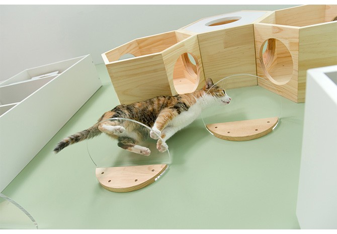 猫 キャットステップ キャットウォーク 壁付け 壁掛け MYZOO マイズー