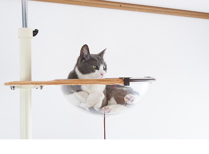 キャットタワー おしゃれ キャットツリー 突っ張り 猫用 Bonbi
