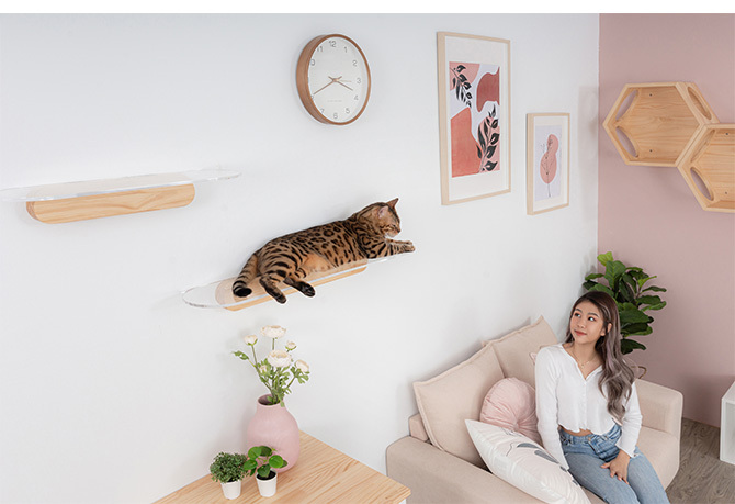 MYZOO｜OBLONG 透明キャットステップ 60cm - こどもと暮らし