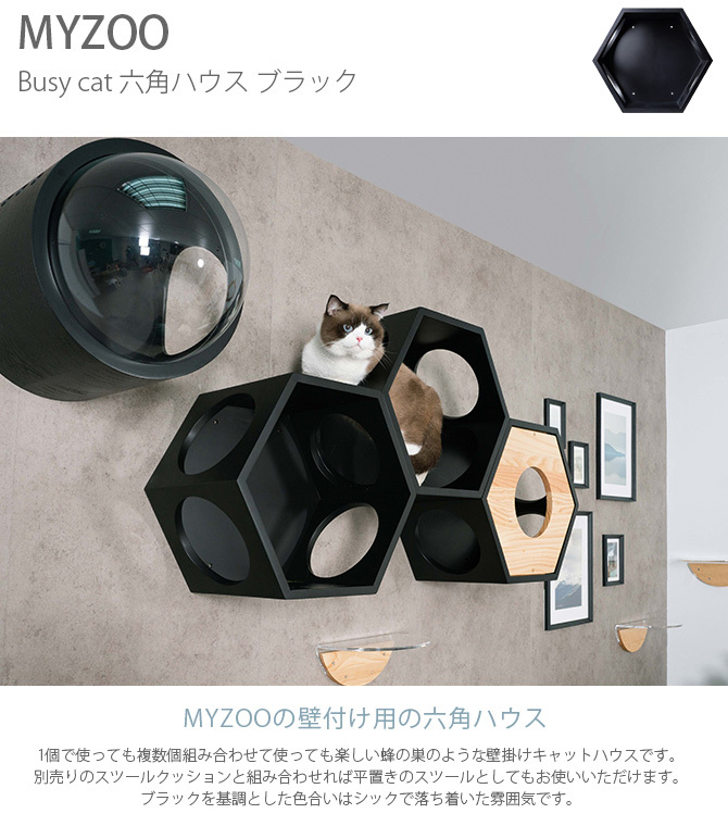 猫 キャットステップ キャットウォーク 壁付け 壁掛け MYZOO