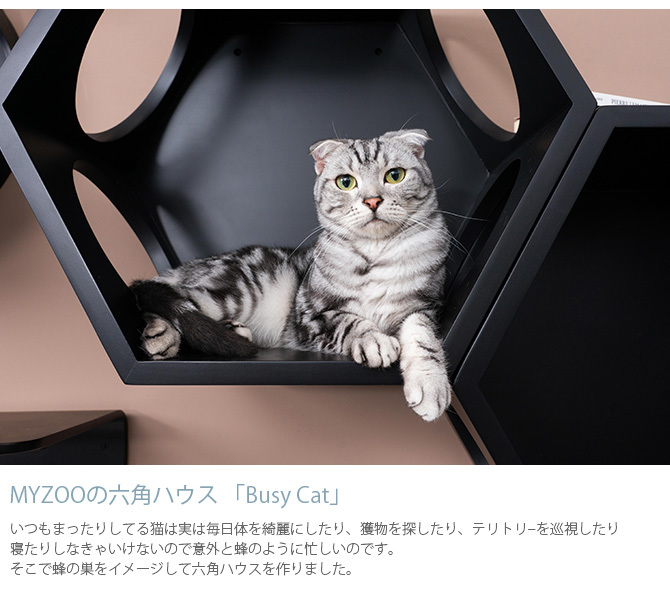 猫 キャットステップ キャットウォーク 壁付け 壁掛け キャット 