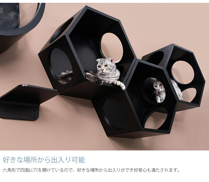 猫 キャットステップ キャットウォーク 壁付け 壁掛け MYZOO