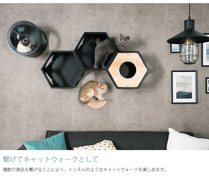 MYZOO 六角ハウス ブラック 黒 キャットウォーク キャットステップ キャットステップ】MYZOO-六角ハウス/ブラック