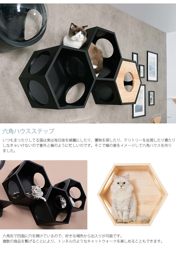 キャットステップ キャットウォーク MYZOO マイズー 壁付 キャット