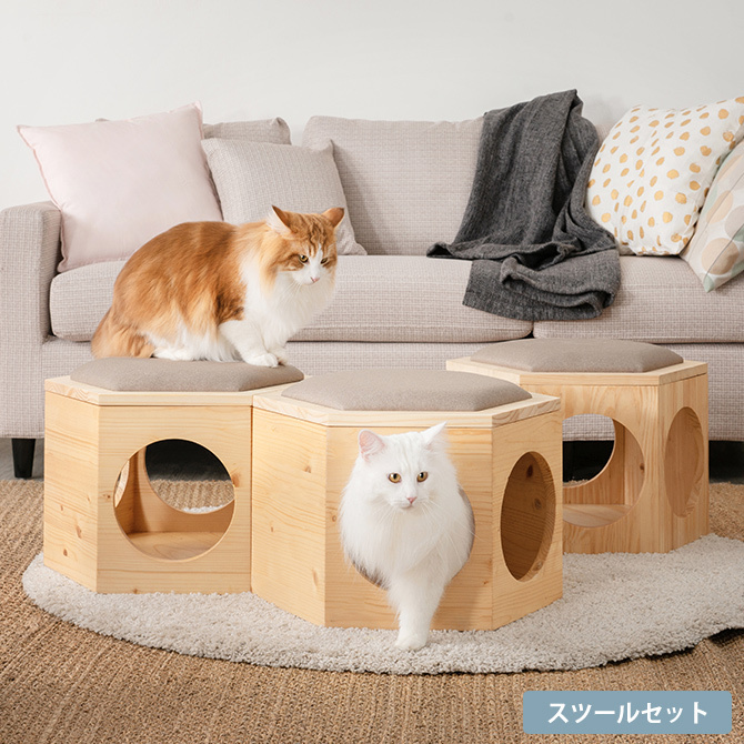 キャットステップ キャットウォーク MYZOO マイズー 壁付 キャット