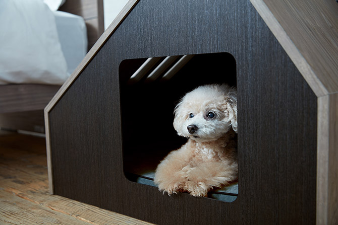 犬 ドッグ ハウス ベッド ペットベッド FrancePet フランス