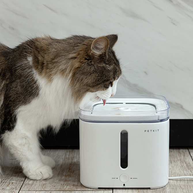 自動給水器 猫 犬 ペット PETKIT ペットキット ドリンキング