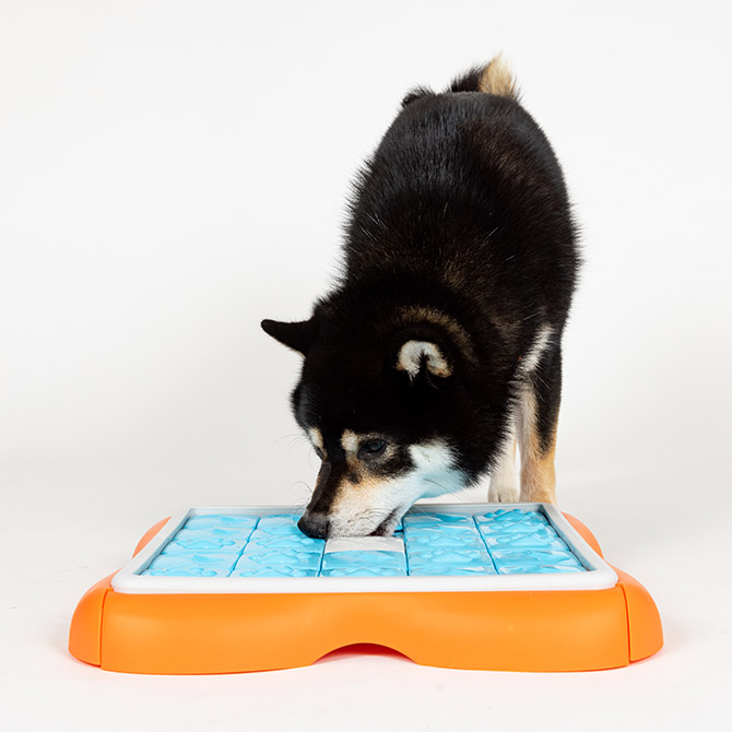 ペットトイ 犬 おもちゃ 知育 トリーツゲーム Nina ottosson ニーナ