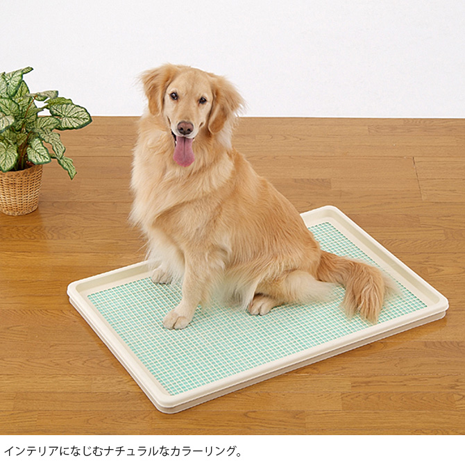 トイレトレー ペットトレー ス―パーワイド 犬 メッシュ Bonbi ボンビ