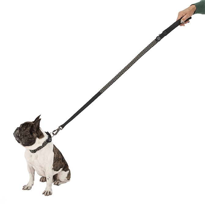 犬用 犬 リード 光る LED MANDARINE BROTHERS マンダリンブラザーズ