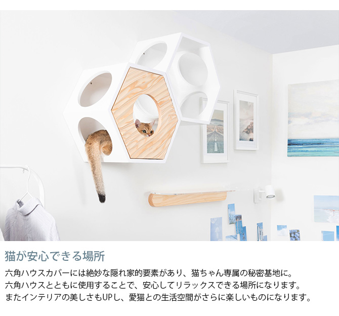 猫 ハウス スツール 六角 ウェーブ キャットステップ MYZOO マイズー