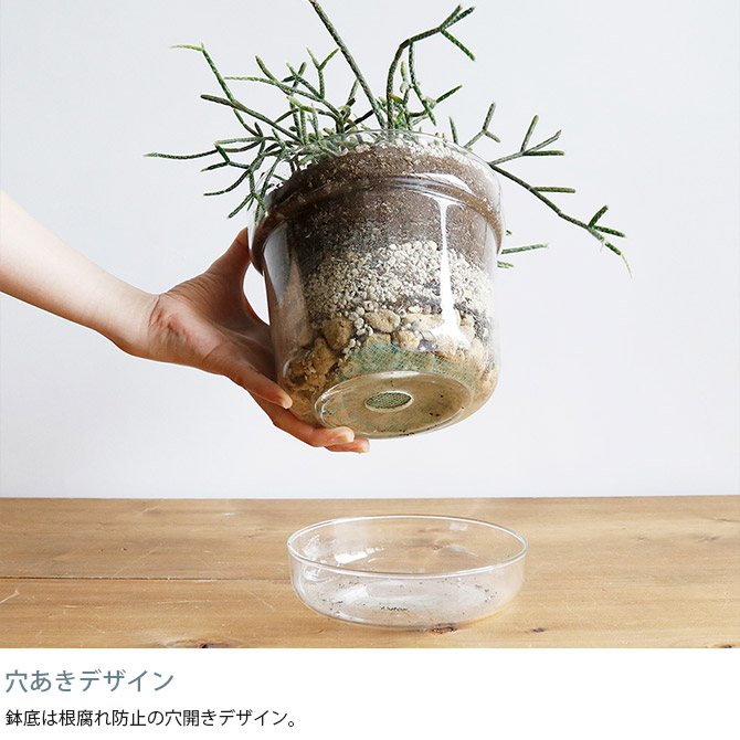 イルムス　エヴァ フラワーポット イルムス限定カラー Sagaform | サガフォルム からのElise ハーブポット Ø11 cm