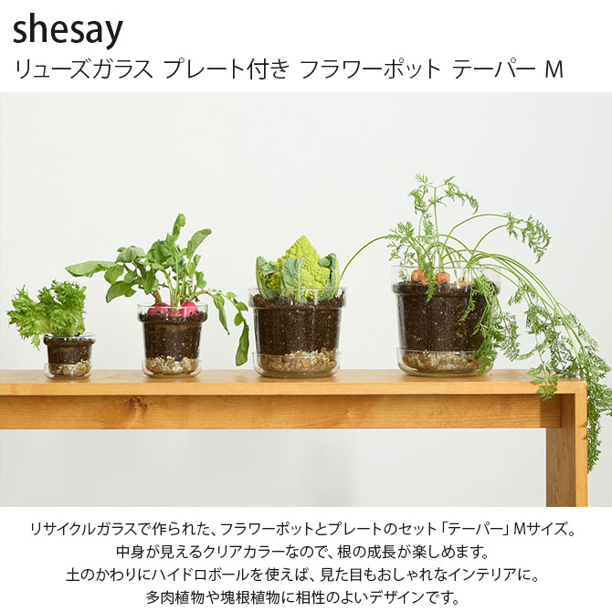 ポット 植木鉢 ガラス 4号鉢 おしゃれ shesay シセイ リューズ