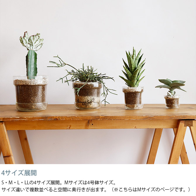 ポット 植木鉢 ガラス 4号鉢 おしゃれ shesay シセイ リューズ