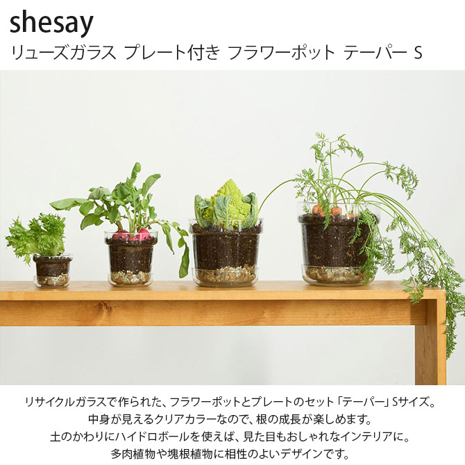 ポット 植木鉢 ガラス 3号鉢 おしゃれ shesay シセイ リューズガラス