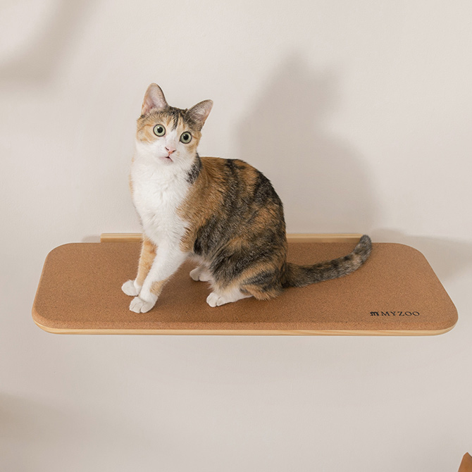 キャットステップ 猫 ステップ 壁 上下運動 MYZOO マイズー CORK