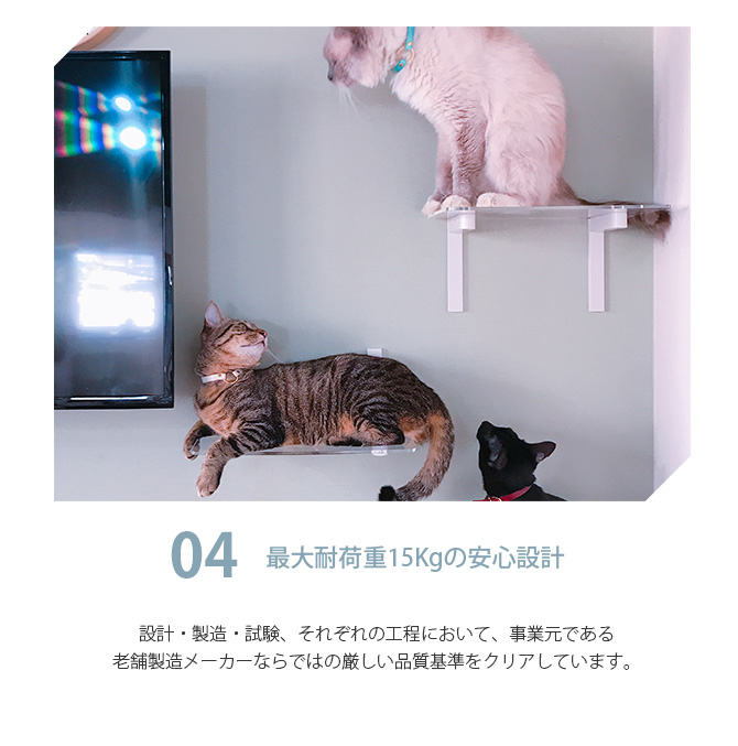 猫 賃貸 小さい穴 ステップ 壁 上下運動 animacolle アニマコレ
