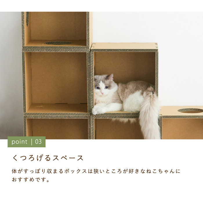 集英社 - 未使用◯迷い猫オーバーラン ダンボール収納BOXの通販