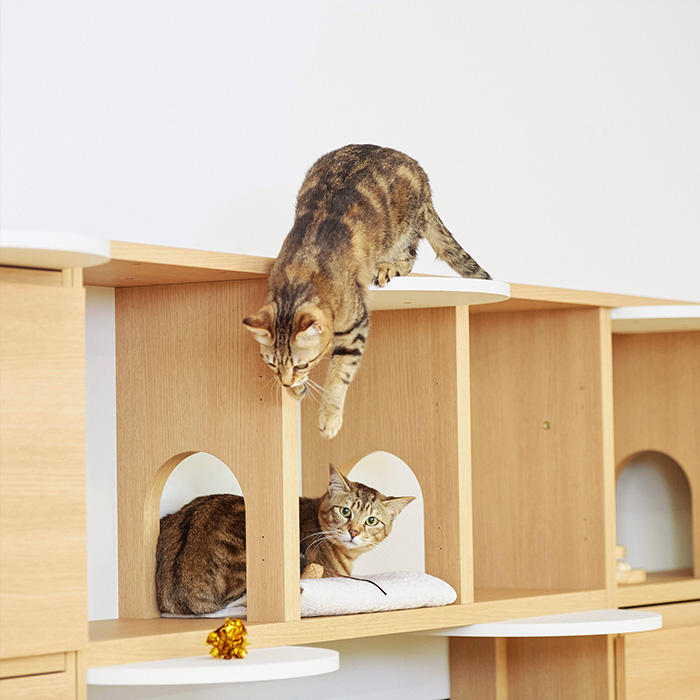 キャットタワー 棚 壁面収納 本棚 キャットウォーク ニャコモ 幅45cm