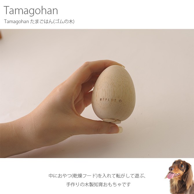 送料無料 Tomaibaby 5個のペットの卵のおもちゃ人工卵きしむ犬のおもちゃゴム製の犬の弾力のあるボール子犬の小さな大きな犬のためのインタラクテ 在庫限り Fcrtt Org
