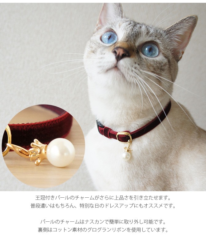 猫 首輪 安全 可愛い シンプル 猫 首輪 necotas+ ネコタス 猫